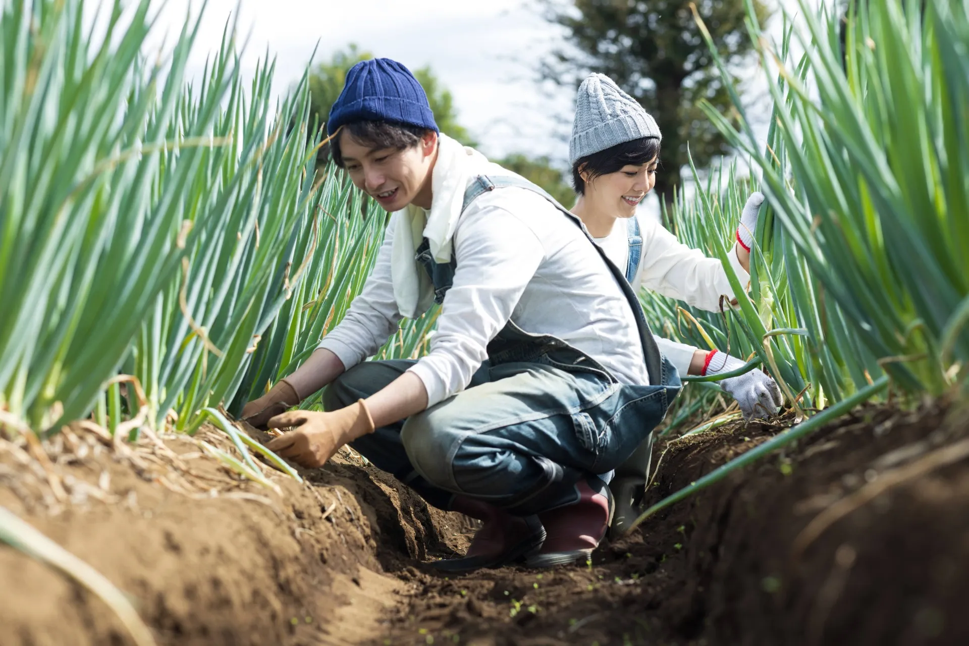 野菜の販売スケジュールをご案内